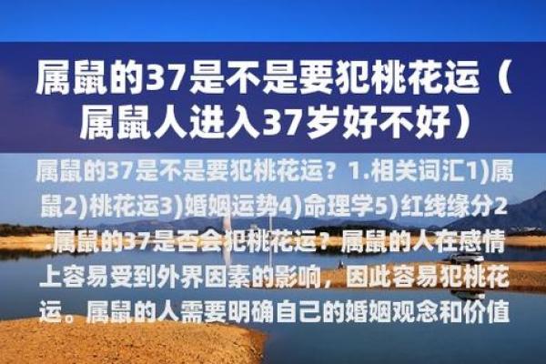 1996年属鼠人的命婚配：缘分的奇妙与秘诀