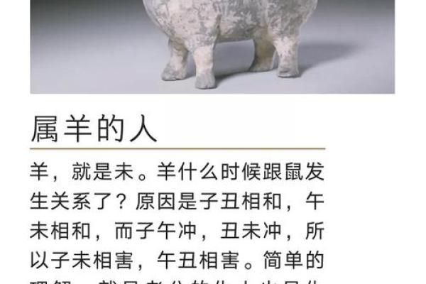 庚子年1960：探索鼠年人的命运与人生哲学