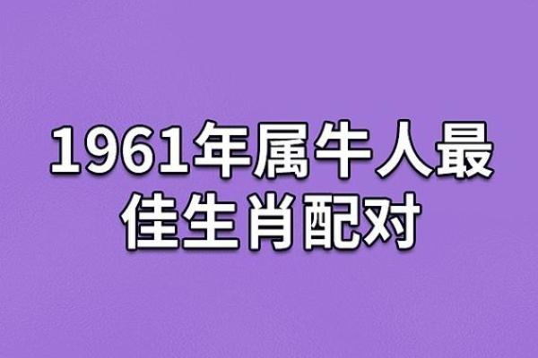1981年属鸡男性的命运与性格解析：洞悉人生的独特魅力与挑战