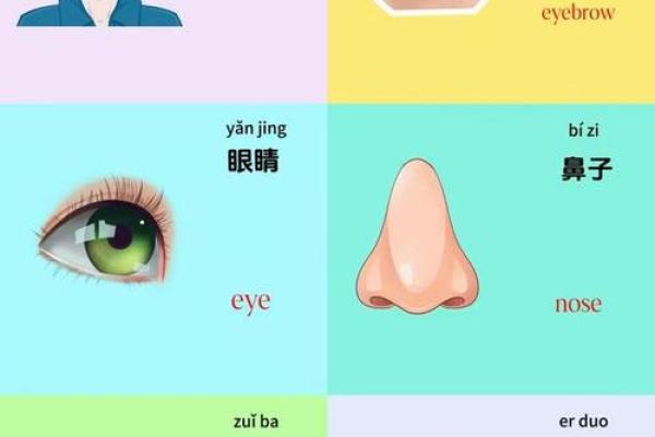 耳朵尖的女人：揭秘她们的命运与性格特征