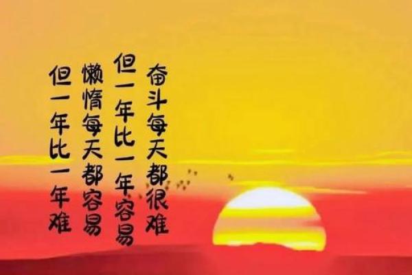 2018年属鸡人命运解析：机遇与挑战并存的精彩人生