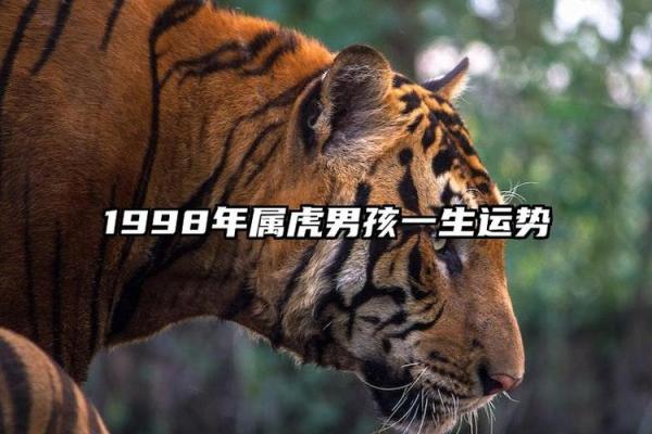 探索2011年属虎人的命运与性格特点，解密生活中的玄机与机遇