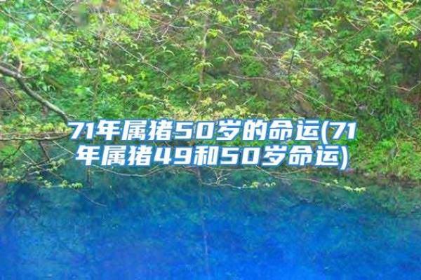 属猪人36岁命运分析，积极向上的人生探索之路