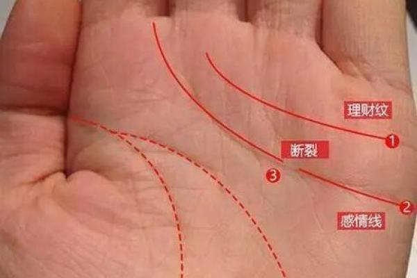 手掌中的秘密：教你看懂命运的指纹与线条