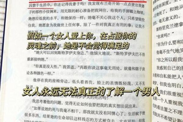 揭示男人一生中最核心的命：追寻梦想与内心的真实
