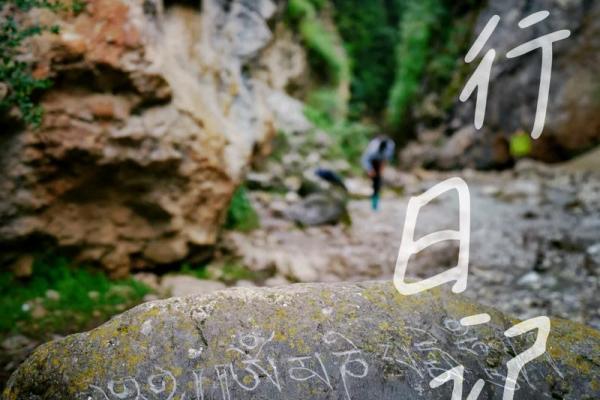 探秘1991年腊月十六：命理与人生的交响之旅