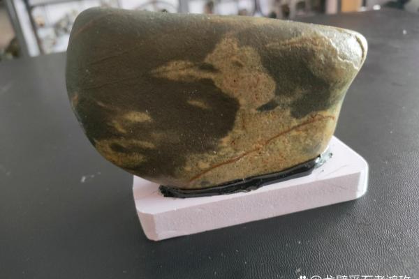 探秘生活中的奇趣体验，发现快乐的新方式！