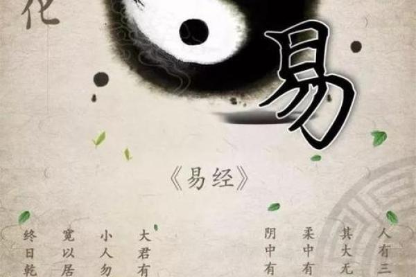 属鸡1981年的命运与特色：探索命理学的智慧与人生哲学