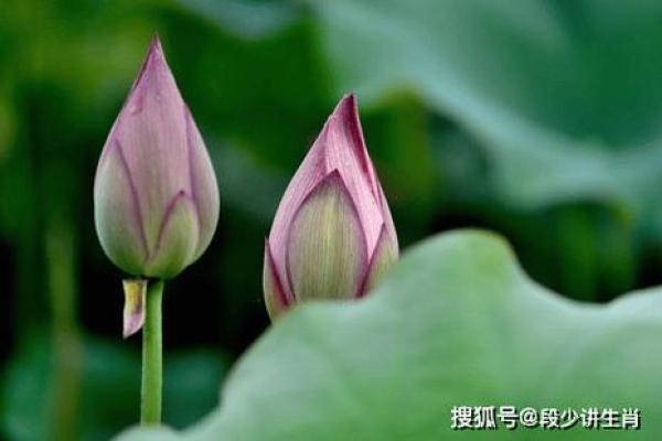 水命之人最适合的颜色，助你顺利生活与事业！