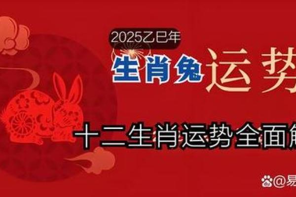 男人43岁属兔的命运解析：智慧与机遇的交汇点