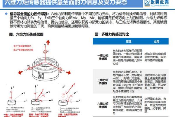 变形金刚的秘密：金命与机器人的深度联系
