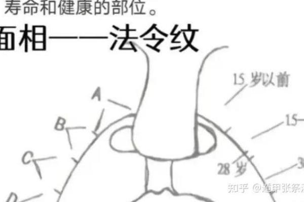 了解贪财命女性：面相中的财富密码