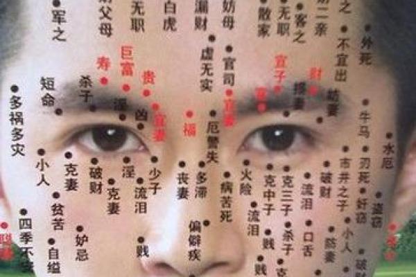 怎样分辨脸是什么命：面相解读与命运的奇妙联系
