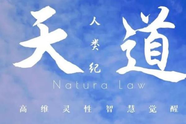 2025蛇年出生的人：灵性与智慧的结合，走向辉煌人生的秘钥