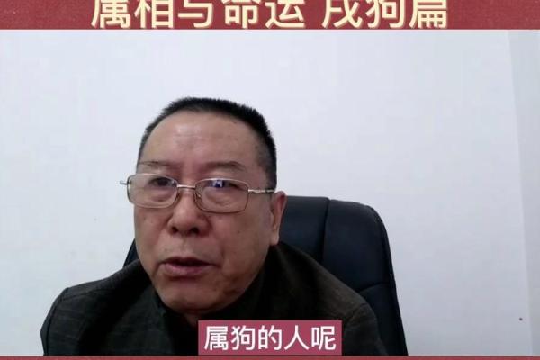 1994年属狗的命运探讨：忠诚与机遇的结合