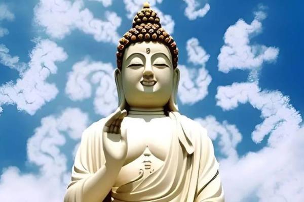 20年属猪的命运解析：财富与事业的双重突破之路