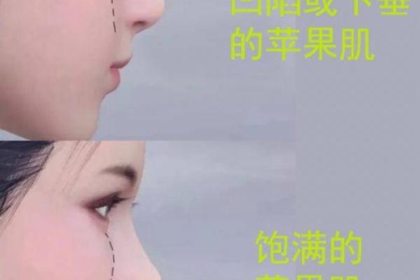 苹果肌饱满的人生运势如何？解析苹果肌背后的面相文化！