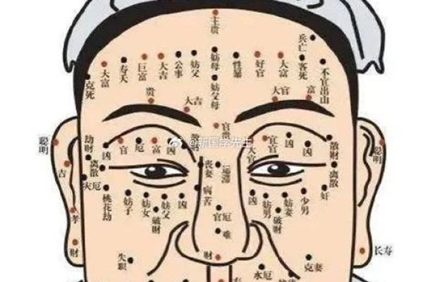 探秘己巳大林木的命运与性格特征