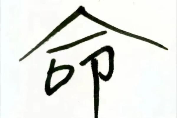 揭秘命理学：探索宇宙与个体命运的神秘联系