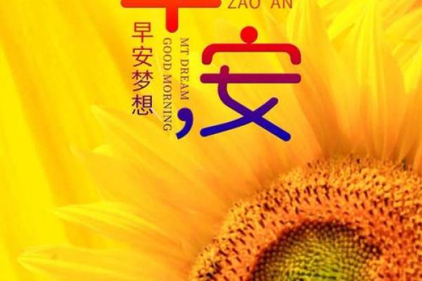 90年12月26日出生的你，属于什么命，命运解析与人生指导！