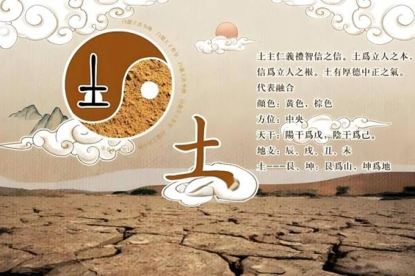 2023年女孩命格解密：五行八字如何影响人生发展？