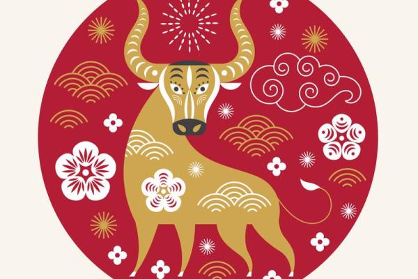 解密88岁属相：命运特点与生活智慧的探析