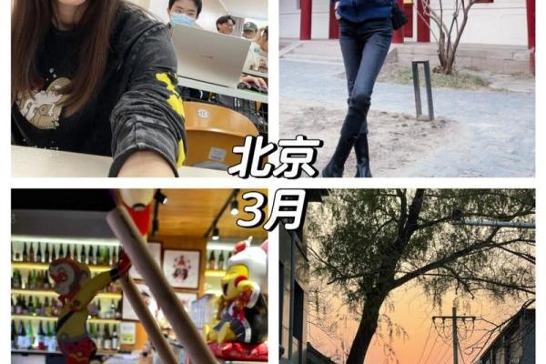 2023年44岁：你的命运与能量的深度解析