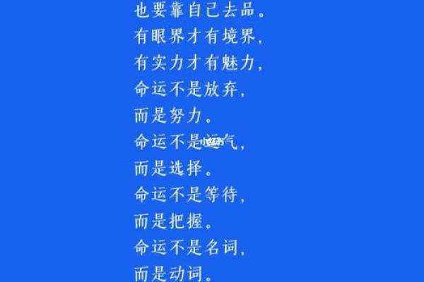 茅瓶子命：独特的人生与命运的思考