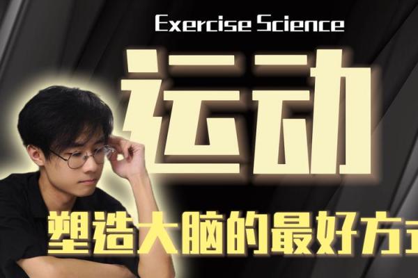 命若琴弦：生活的旋律与和谐之道