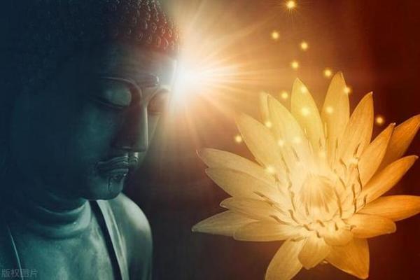 乙巳出生的命理解析：透视命运与人生的秘密