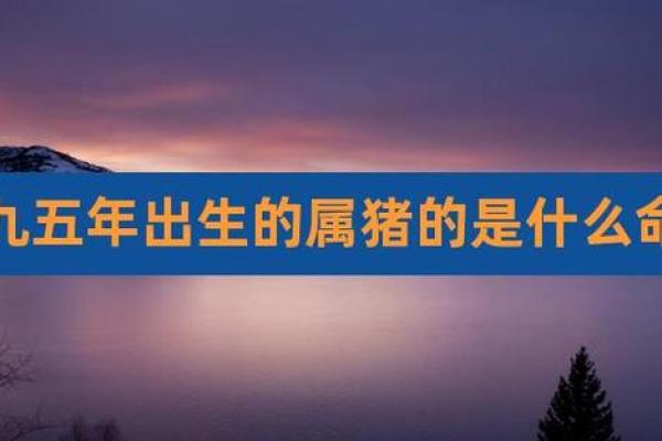 山头火命属猪：探索火焰与温暖的交织人生