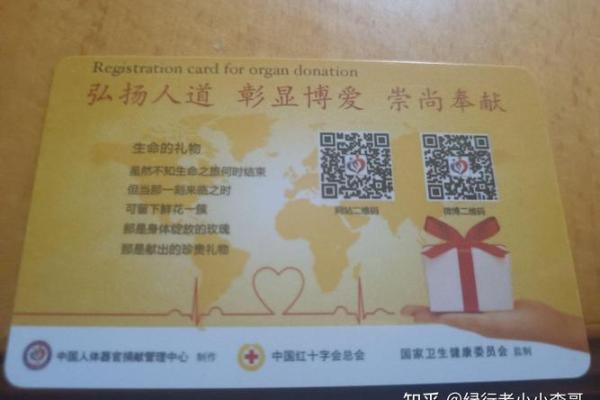 探寻生命的意义：人民的命与我们的责任