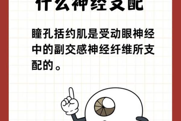 命理缺什么，寿命最短的秘密揭秘