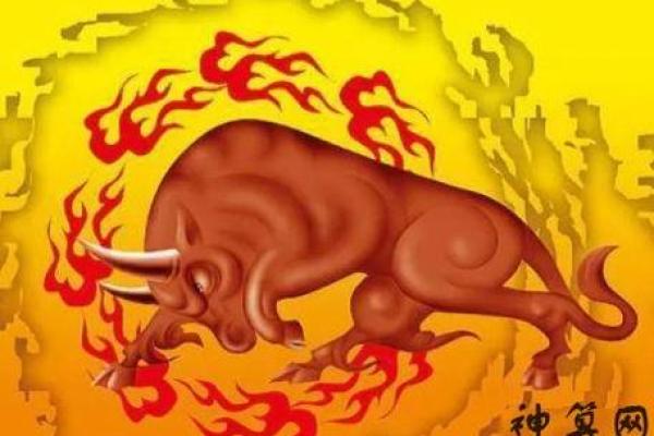 1999年属牛人的命运分析与人生方向探讨