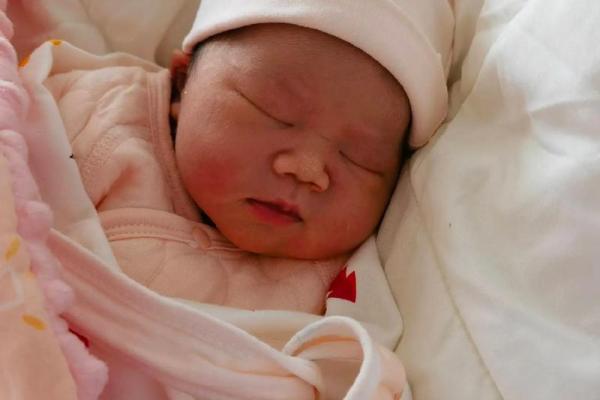 兔年宝宝的命运解析：如何帮助他们迎接美好未来