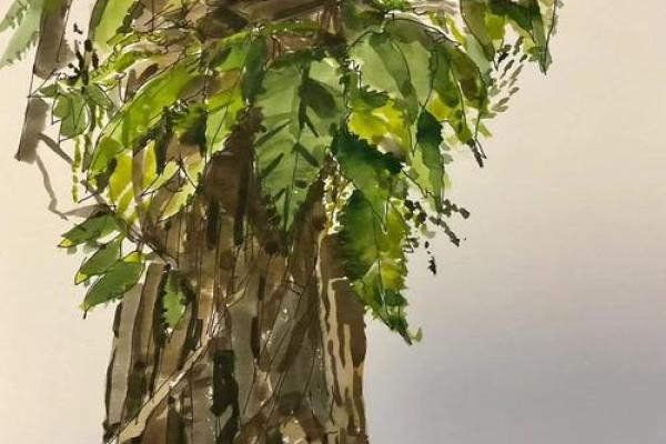 木命人适合养什么生肖？探寻和谐共生的秘密