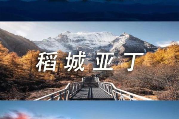 夫妻宫癸丑命揭示：命运的奥秘与人生的风景