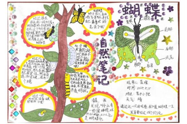 如何看孩子的命运：揭秘命理与成长的奥秘