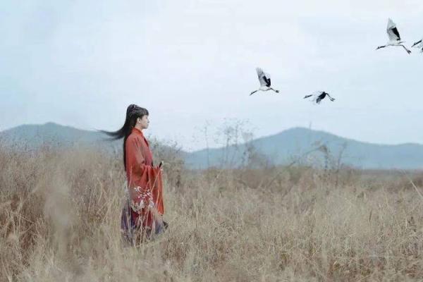 独立女性的命运：自信与智慧的交响曲
