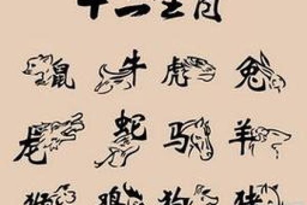 根据土鼠命，选择什么颜色才能助运增运？