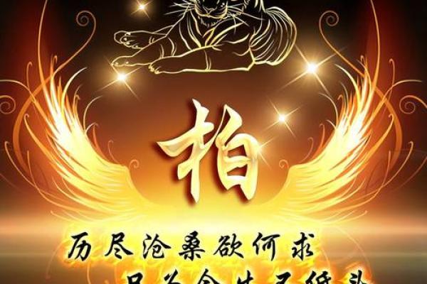 饿水命人如何选择头像：让你的个性绽放光芒