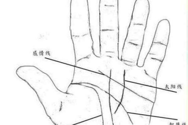从手相看男性命格：揭示你潜在的命运和人生轨迹