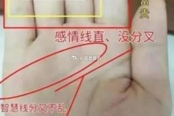 从手相看男性命格：揭示你潜在的命运和人生轨迹