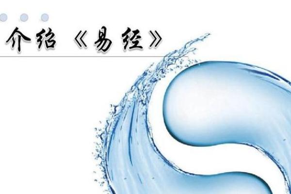 1982年属狗的人命理分析：如何发挥优势，迎接未来挑战