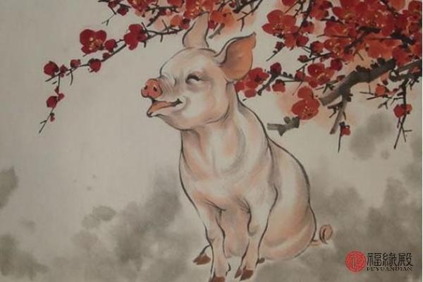 2023年生肖猪运势解析：机遇与挑战并存，如何把握命运之舵？