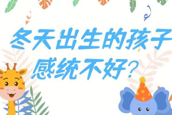 2006年冬天出生的你：命运与性格的奥秘解析