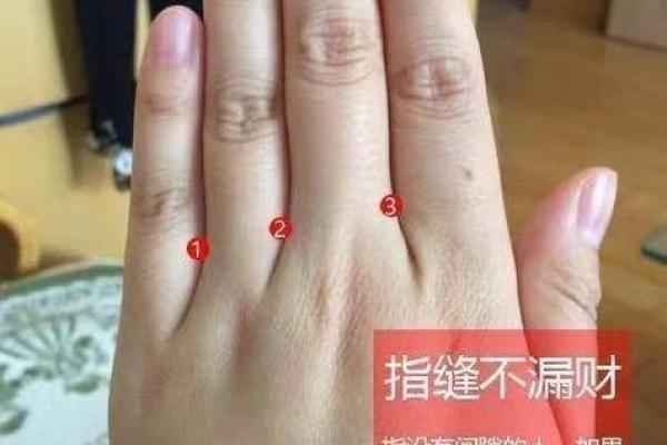 女命食神旺：女性命理中的财富与智慧象征