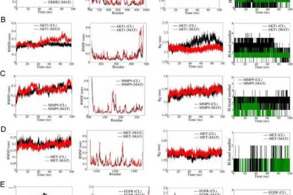 探秘96丙子年命格：揭示你的命运与潜力