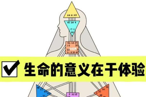 探索生命的意义：我们存在的真正价值与追寻