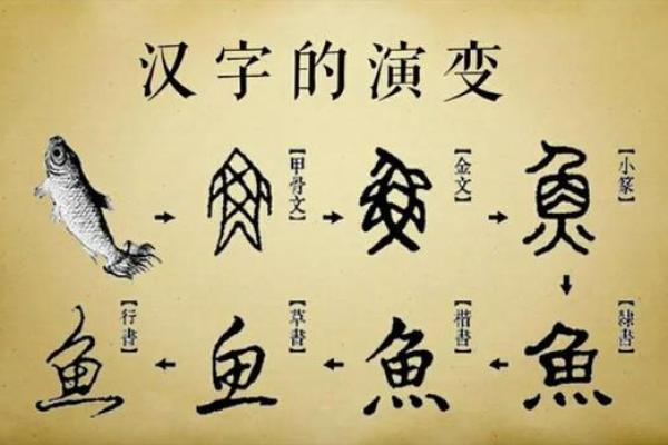 探索汉字秘密：命字的部首与文化深意